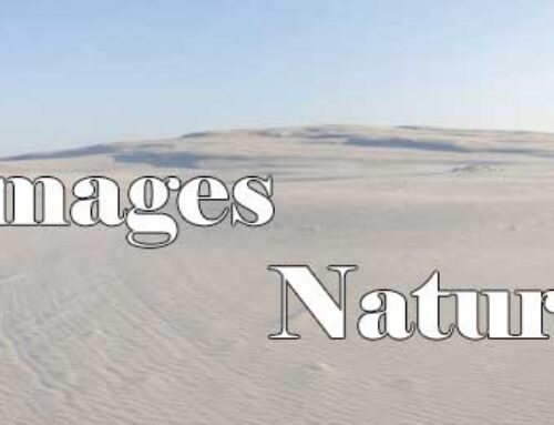 Image – Nature UHD Desert 0001